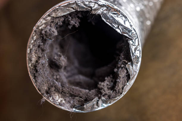 Best Ductwork Cleaning Services  in Camden, SC
